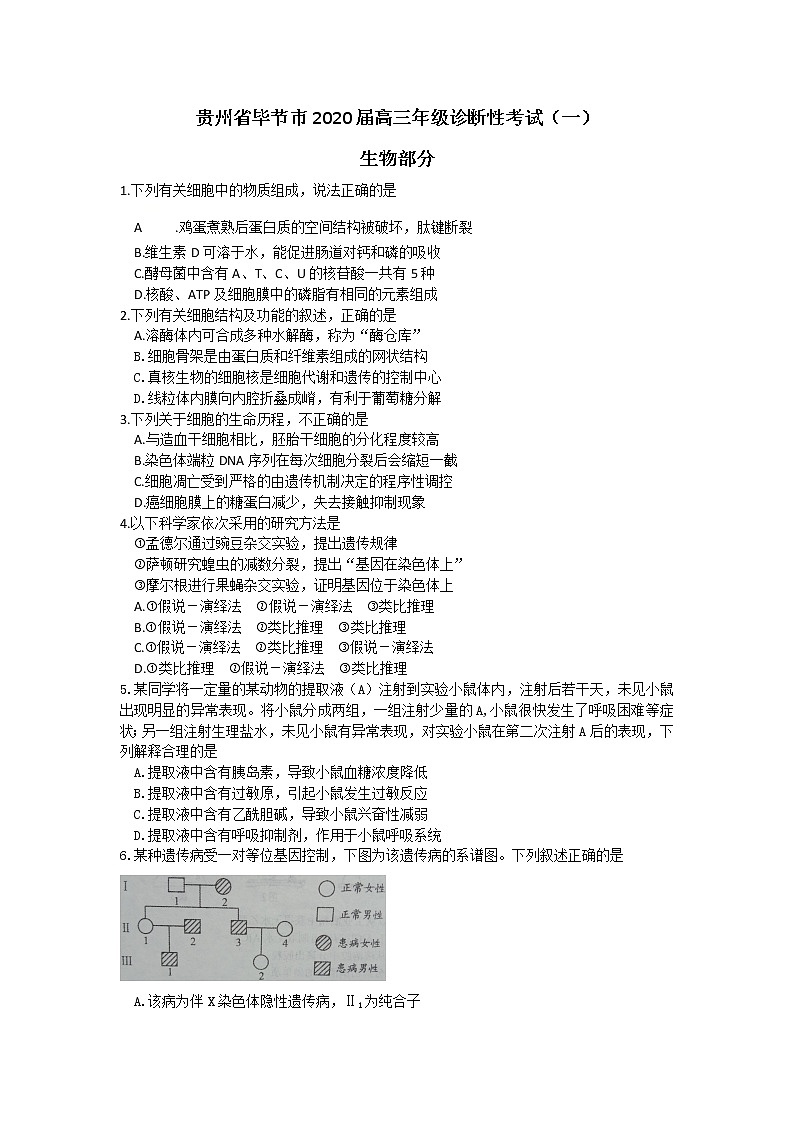 2020年贵州省毕节市高三第一次模拟考试生物卷及答案01