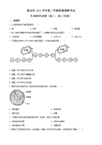 2022届上海市嘉定区高二（高三）等级考二模生物试题（含解析）