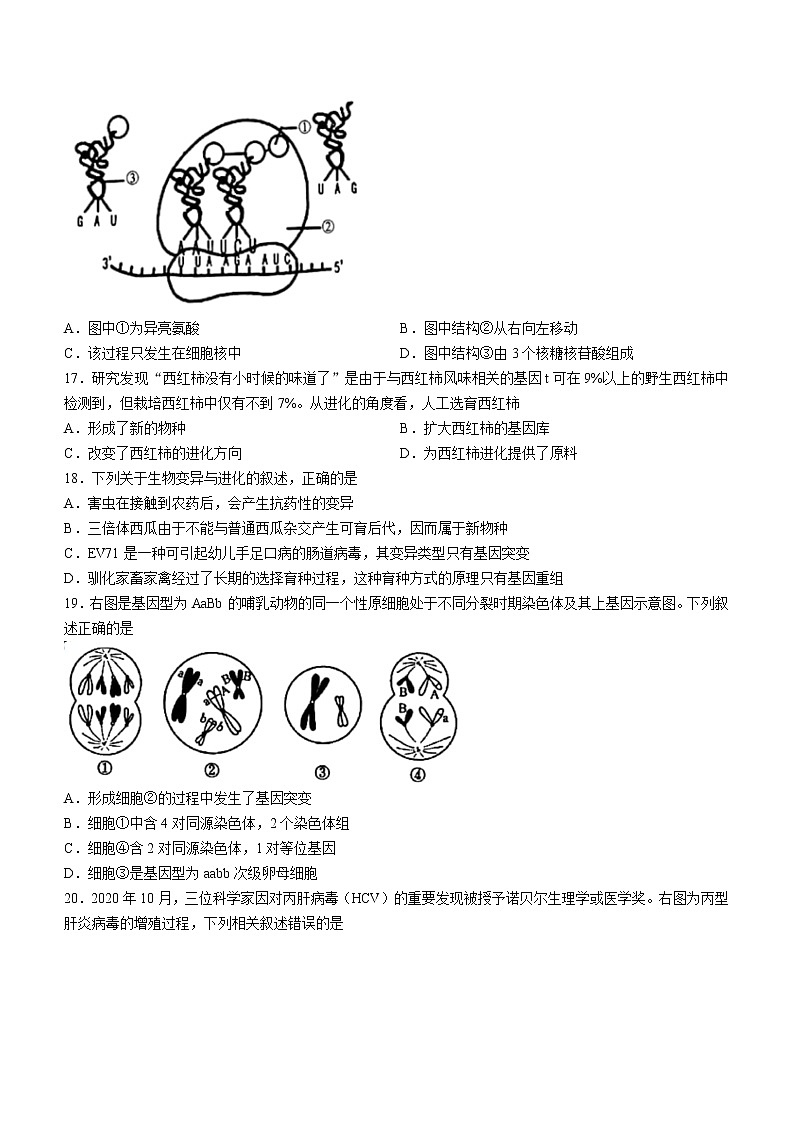 2021宁波九校高一下学期期末考试生物试题含答案03
