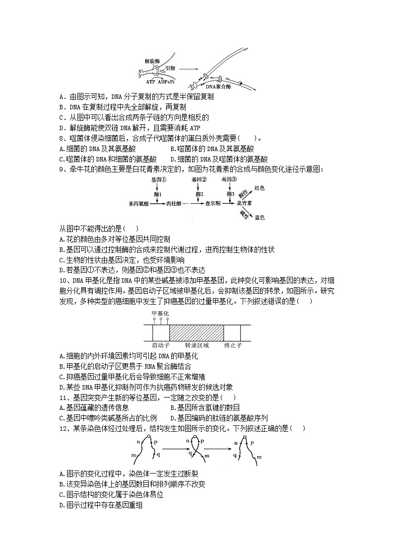 2021抚顺重点高中协作校高一下学期期末考试生物试卷含答案02