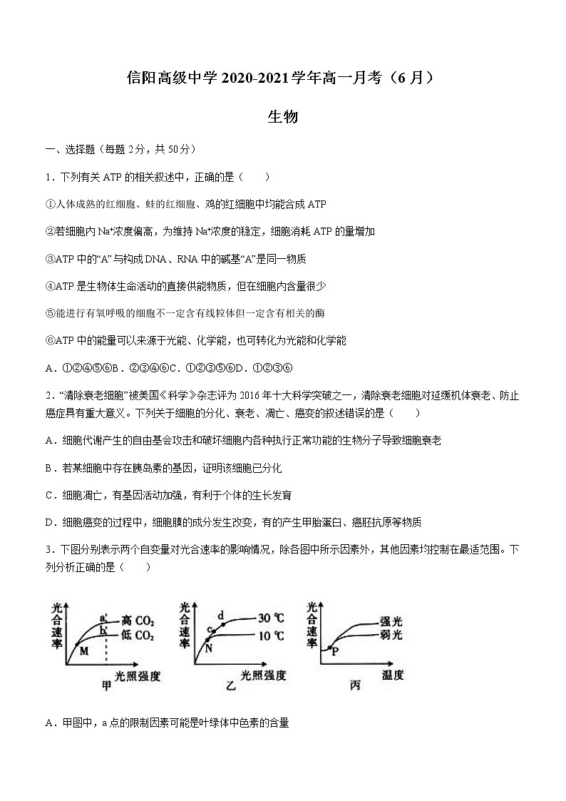 2021信阳高级中学高一下学期6月月考生物试题含答案第1页