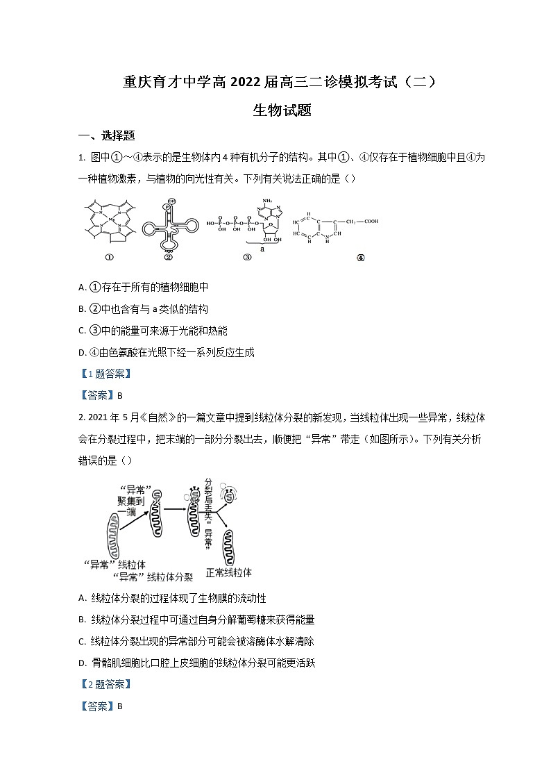 2022重庆市育才中学高三下学期二诊模拟考试（二）生物含答案第1页
