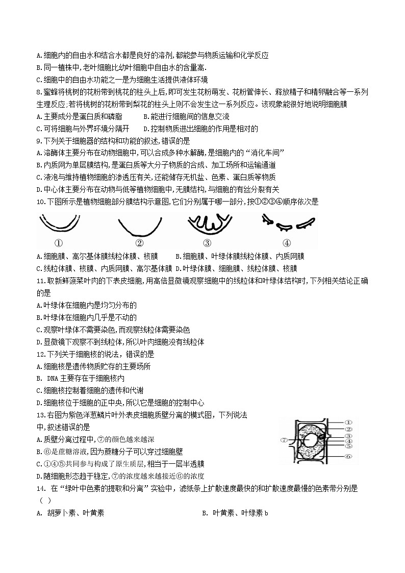 2022成都外国语学校高二下学期期中生物试题含答案02