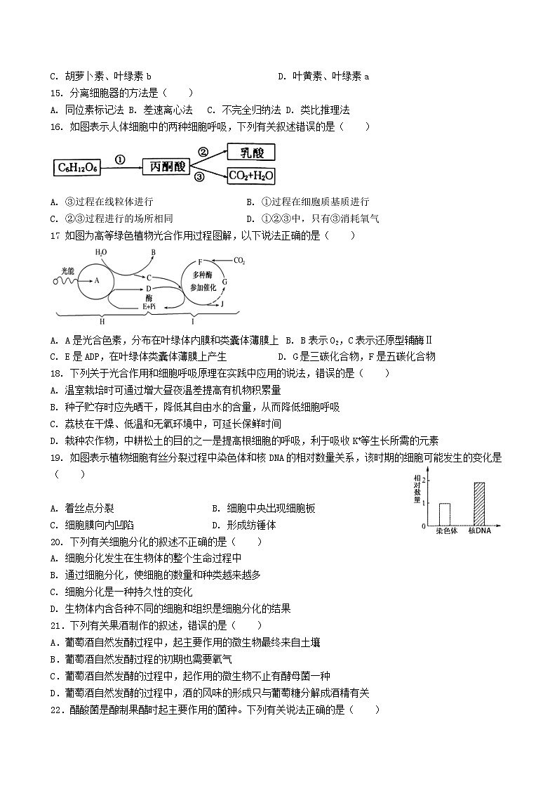 2022成都外国语学校高二下学期期中生物试题含答案03