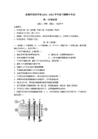 2022成都外国语学校高一下学期期中考试生物含答案