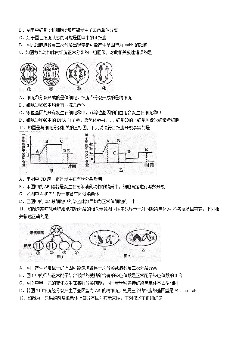 2022济宁邹城高一下学期期中考试生物试题含答案03