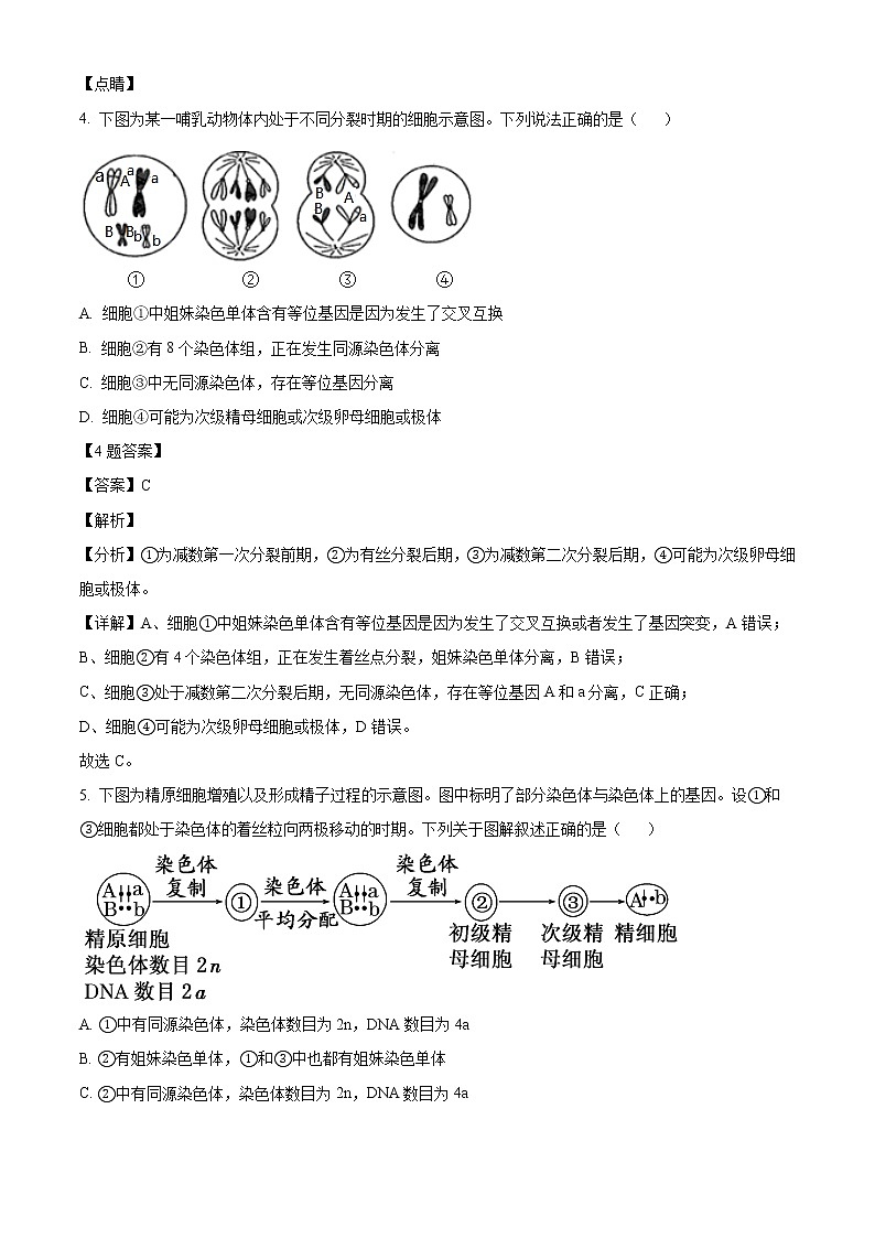 2022山东省新泰市一中老校区（新泰中学）高一下学期期中考试生物试题含解析03