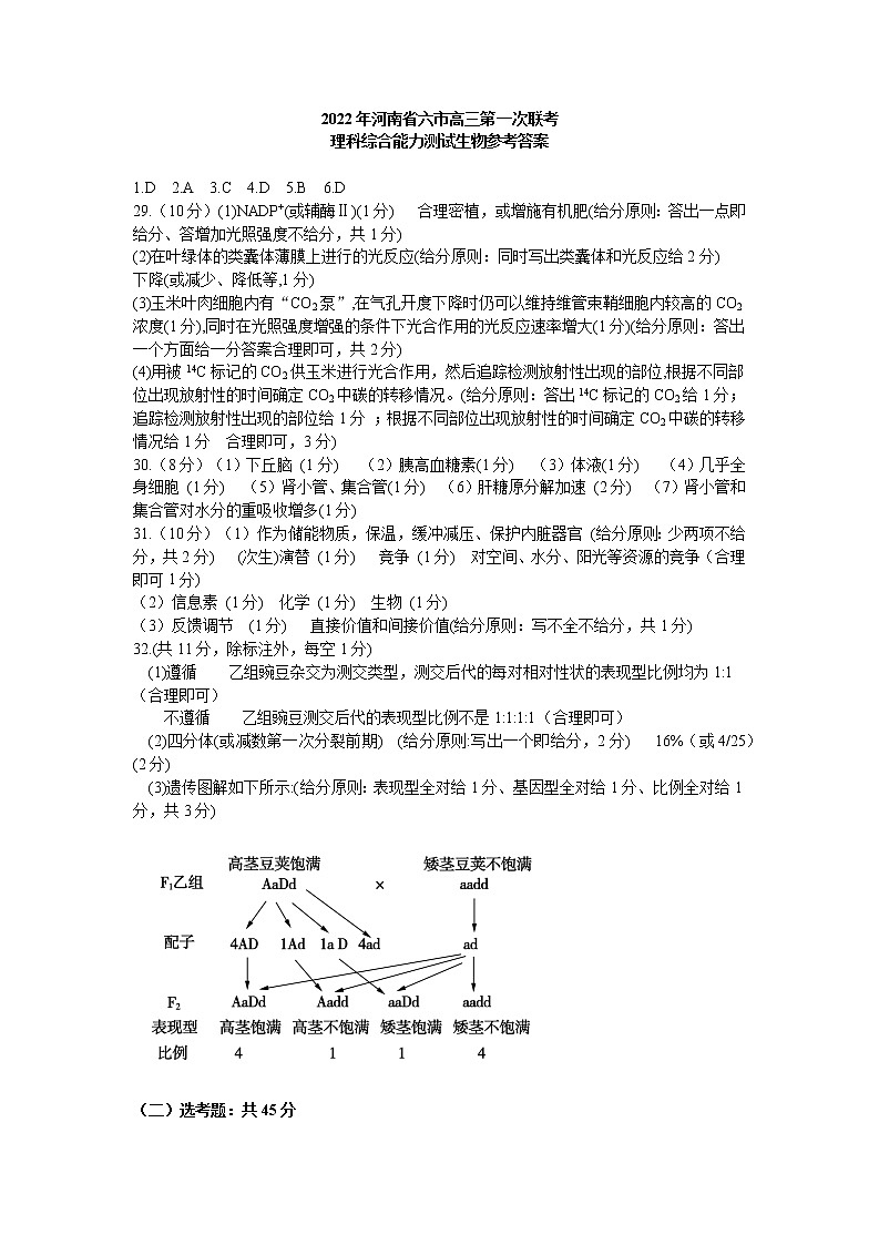 2022年河南省漯河市高三第一次模拟考试生物卷及答案01