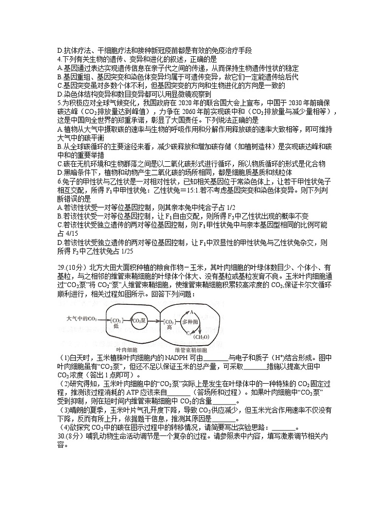 2022年河南省漯河市高三第一次模拟考试生物卷及答案02