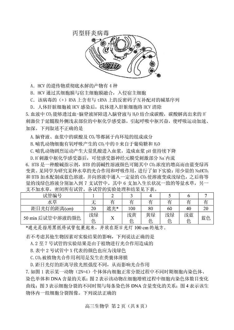 天津市河北区2021-2022学年度高三年级总复习质量检测（一）生物试题含答案02