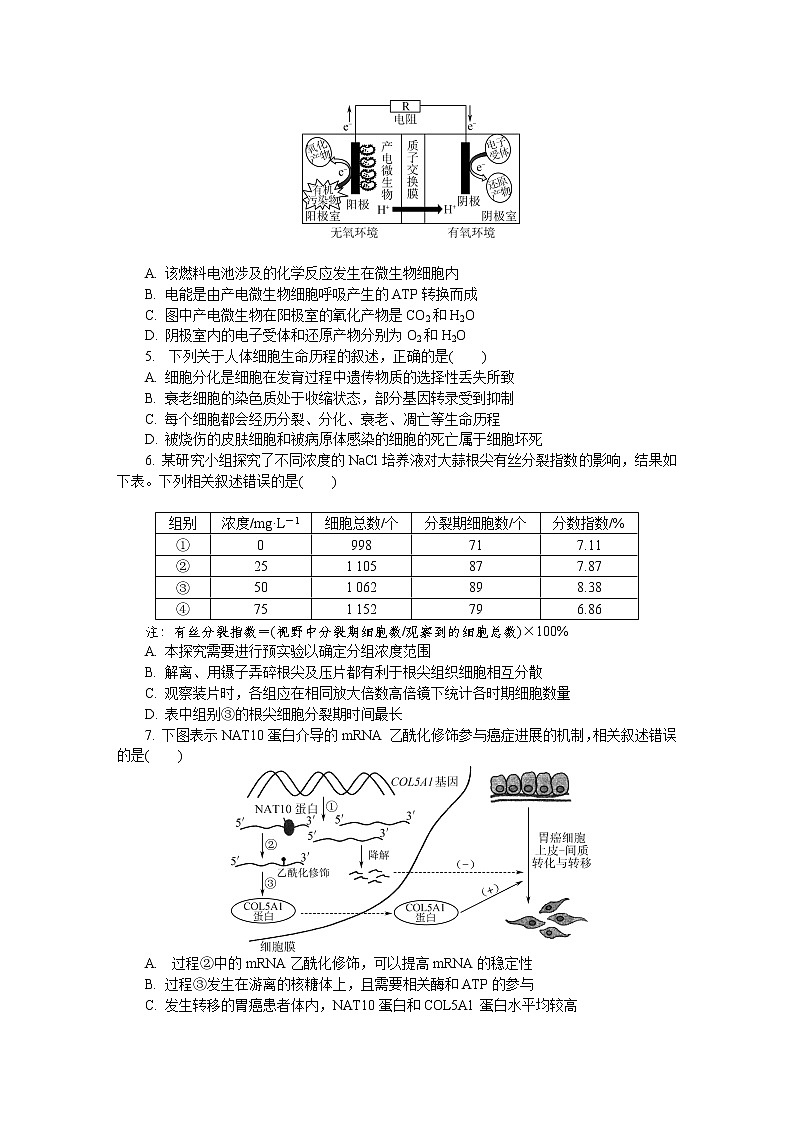 2022江苏省苏锡常镇四市高三下学期二模试题（5月）生物含答案第2页