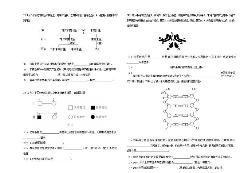 2022天津市北京师范大学静海附属学校高一下学期期中考试生物试题含答案03