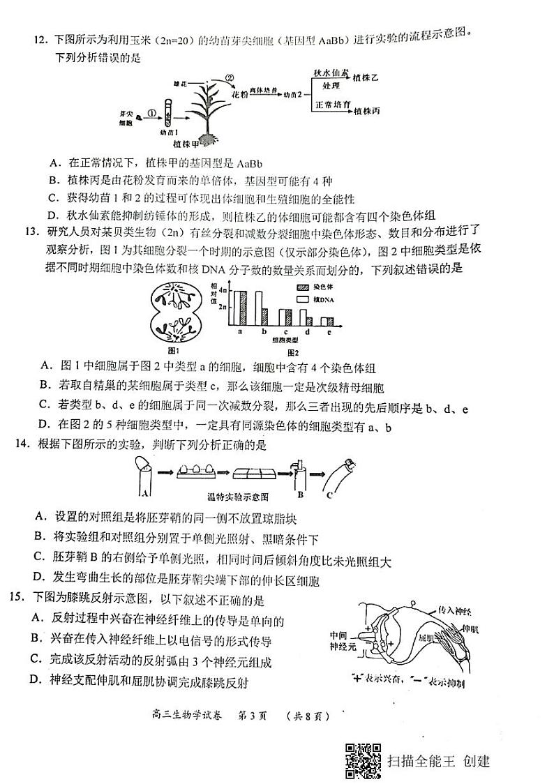 2022年重庆市高三第一次联合诊断生物卷及答案（图片版）03