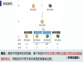 4.2《基因重组使子代出现变异》课件+教案