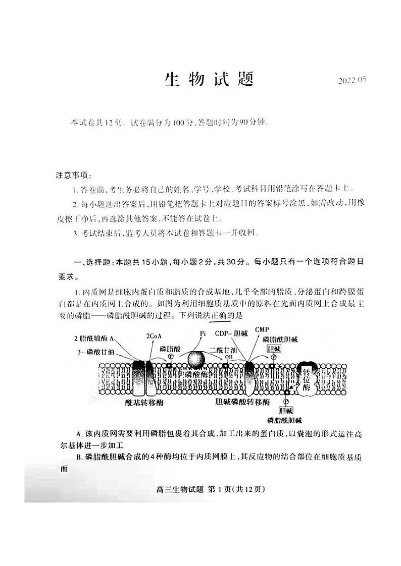 2022年山东泰安高三三模  生物试卷及答案第1页