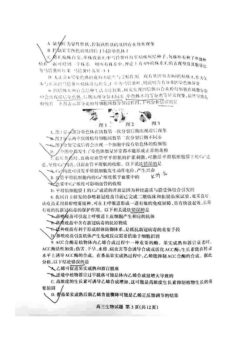 2022年山东泰安高三三模  生物试卷及答案第3页