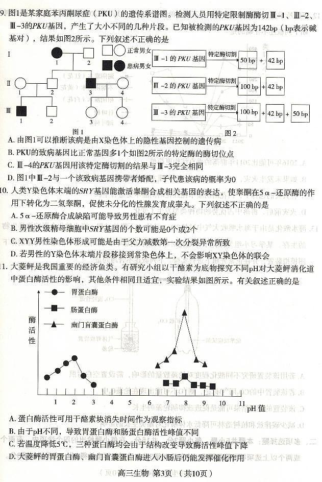 2022届河北省石家庄市高三第二次模拟考试生物卷（图片版）03
