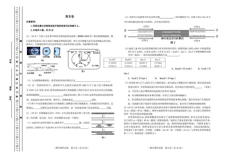 2021届天津市河东区高三下学期4月高中学业水平等级性考试第一次模拟考试（一模）生物试题 PDF版第3页