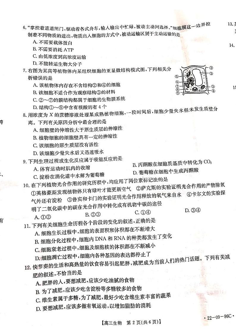 辽宁省葫芦岛市协作校2021-2022学年高三上学期第一次考试生物试题第2页