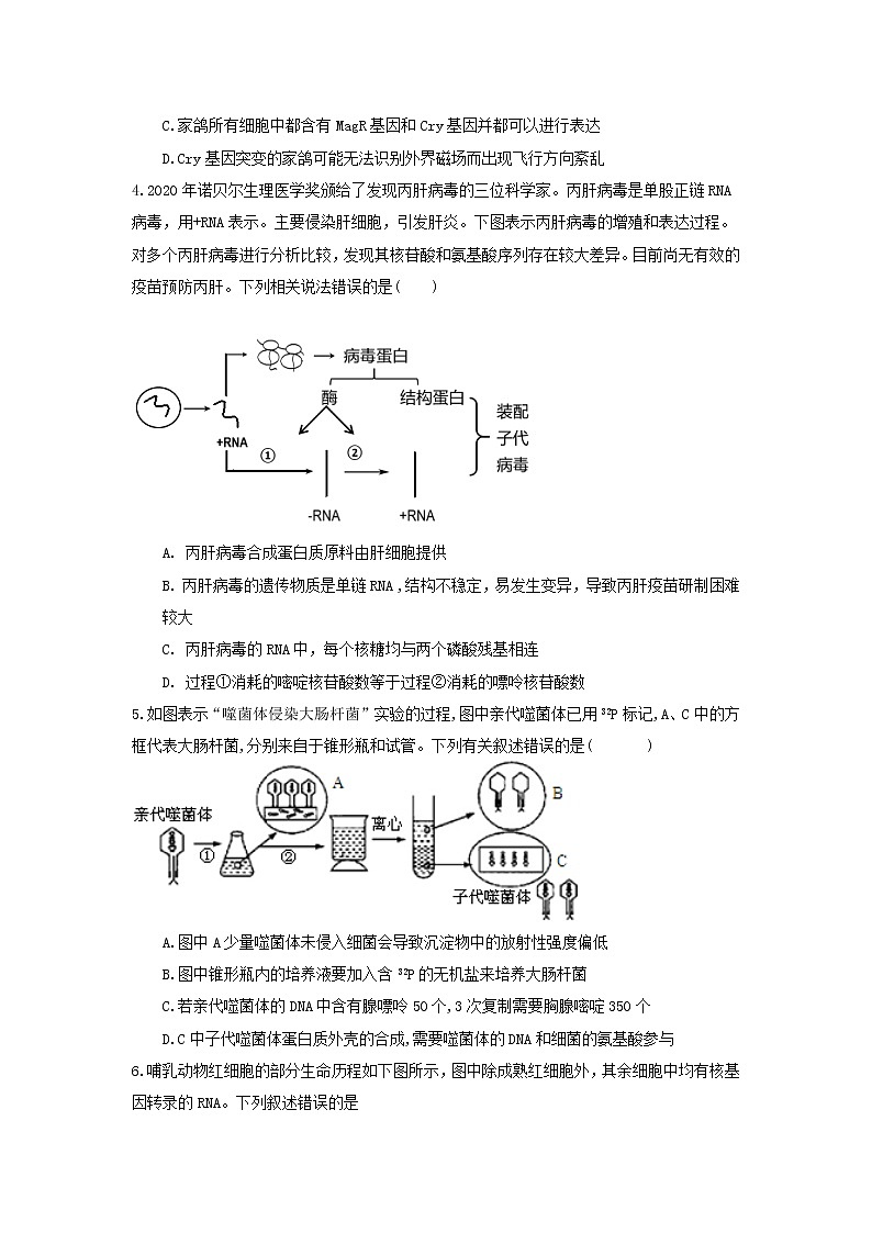 2022拉萨中学高三上学期第二次月考理综生物试题含答案02