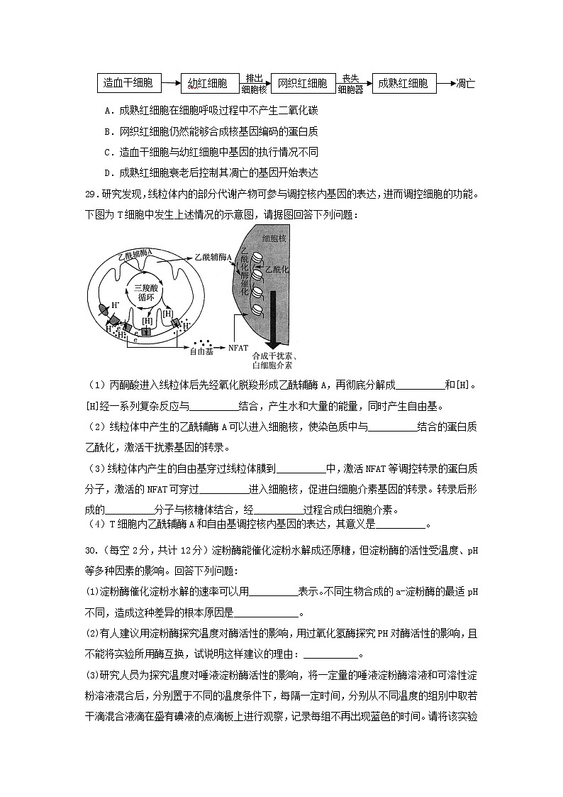 2022拉萨中学高三上学期第二次月考理综生物试题含答案03