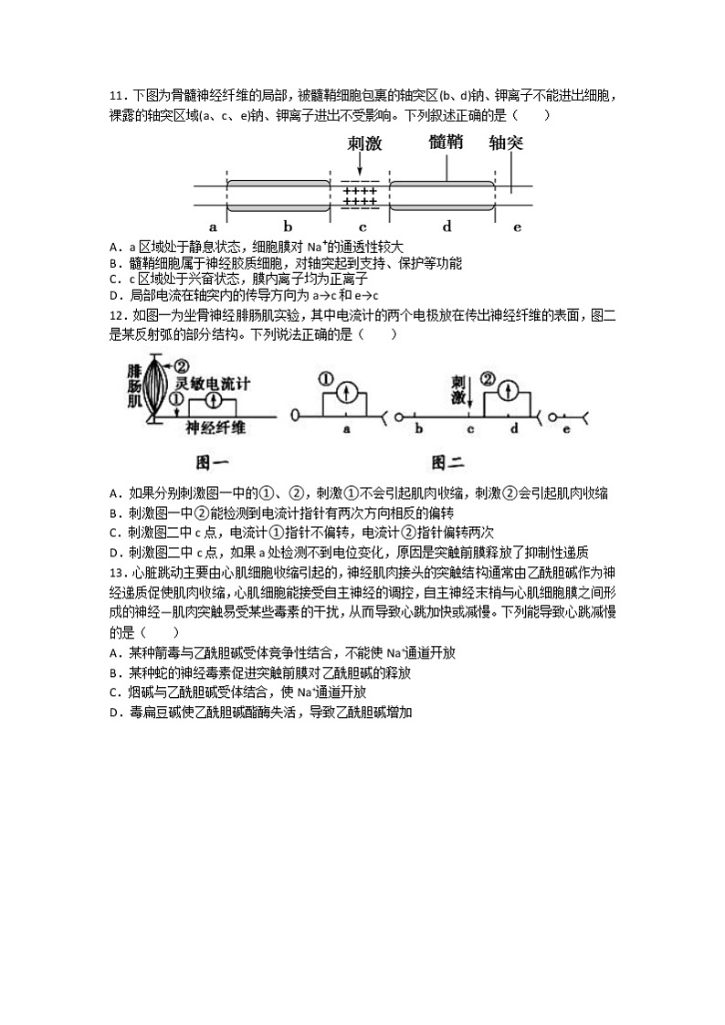 2022合肥六中高二上学期10月单元教学评价（月考）生物试题含答案03