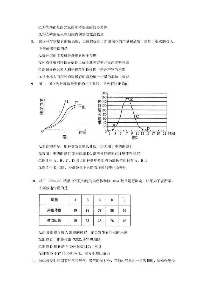 2022年天津市红桥区高三一模生物试题含答案解析03