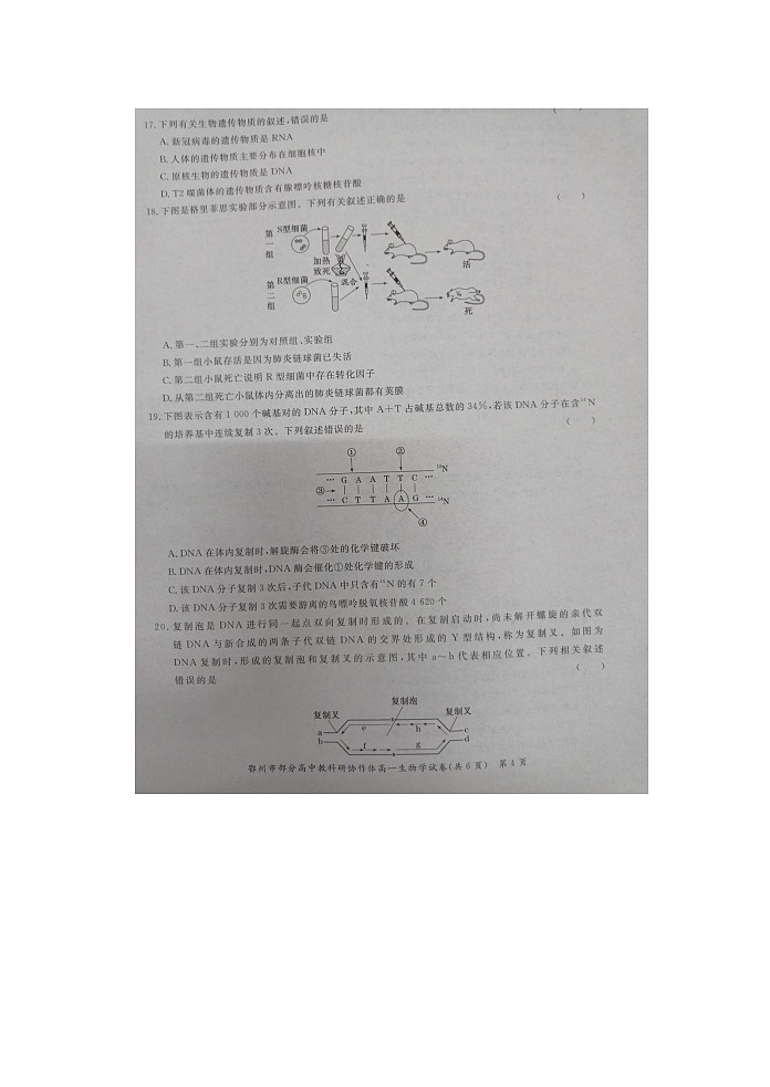 湖北省鄂州市部分高中教科研协作体2021-2022学年高一下学期期中生物试题（含答案）第3页