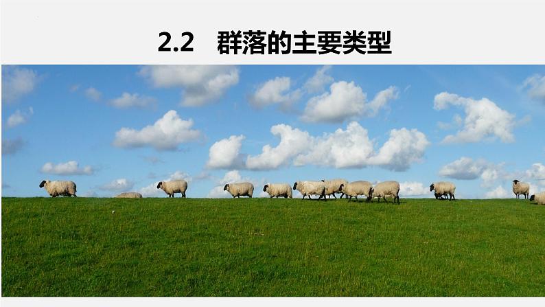 2.2群落的主要类型课件2021-2022学年高二上学期生物人教版选择性必修2第1页