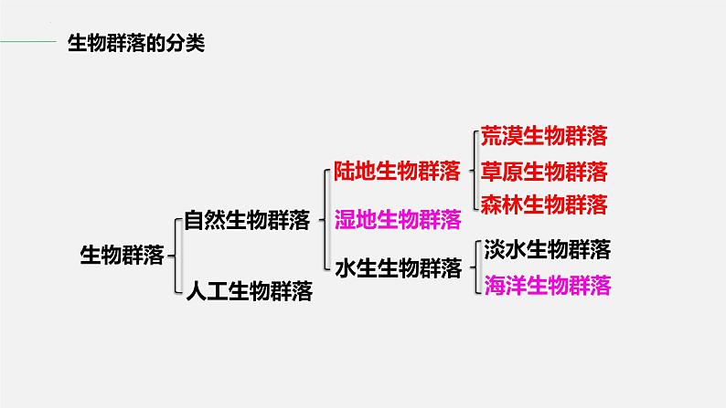 2.2群落的主要类型课件2021-2022学年高二上学期生物人教版选择性必修2第6页