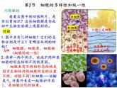 1.2细胞的多样性和统一性课件-2021-2022学年高一上学期生物人教版（2019）必修1