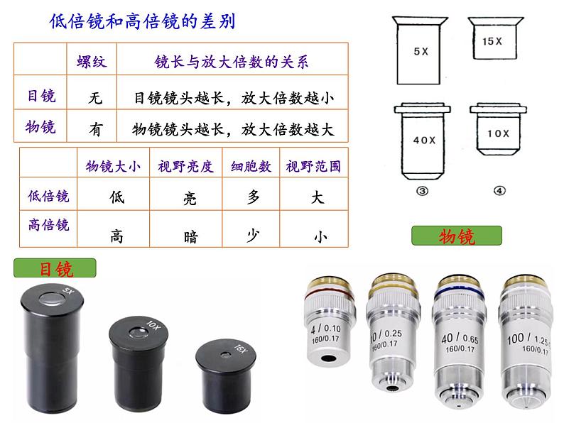 1.2细胞的多样性和统一性课件-2021-2022学年高一上学期生物人教版（2019）必修1第7页