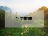 2.3群落的演替课件2021-2022学年高二上学期生物人教版选择性必修2
