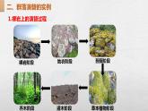 2.3群落的演替课件2021-2022学年高二上学期生物人教版选择性必修2