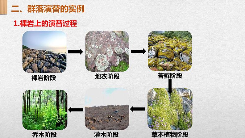 2.3群落的演替课件2021-2022学年高二上学期生物人教版选择性必修2第5页