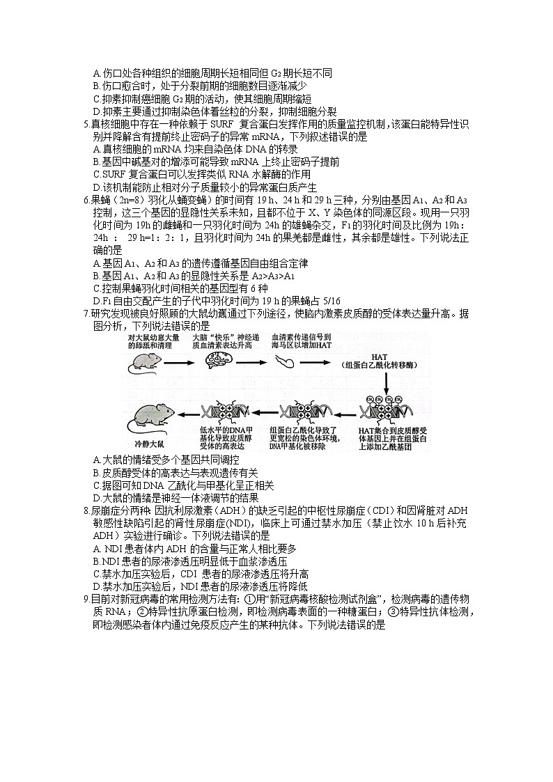 2022年山东省菏泽市高三第二次模拟考试生物卷第2页