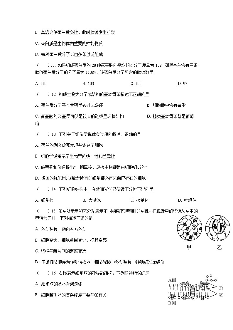 2022绍兴鲁迅中学高一上学期第一次限时训练生物试题含答案第3页