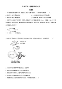 2022北京西城区高三二模生物试题Word含解析