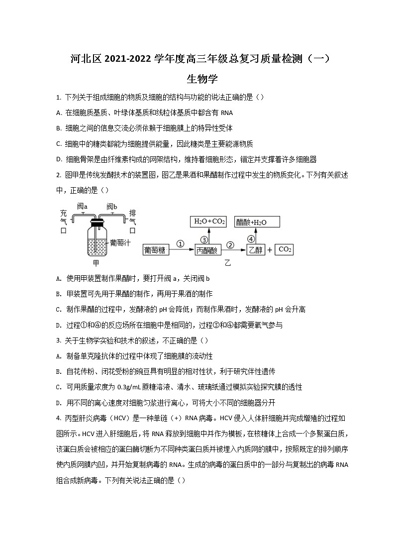 2022天津河北区高三下学期一模考试生物试题含答案01
