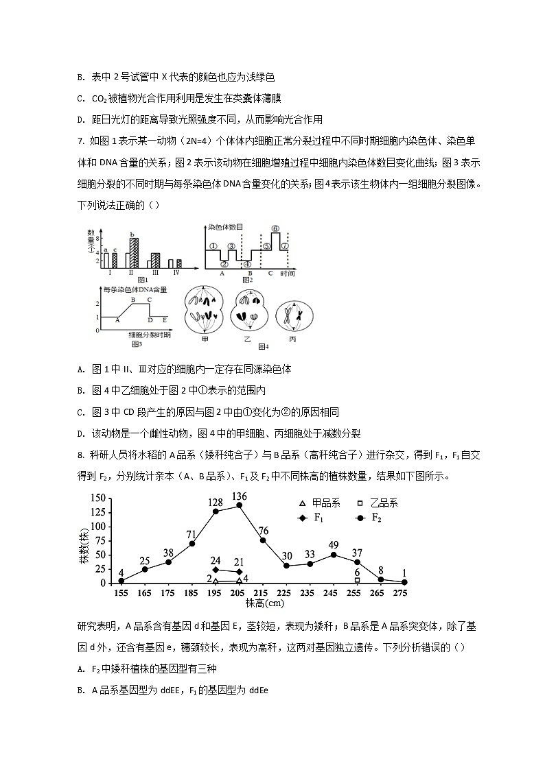 2022天津河北区高三下学期一模考试生物试题含答案03