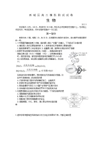 2022北京西城区高三下学期二模考试生物试题含答案