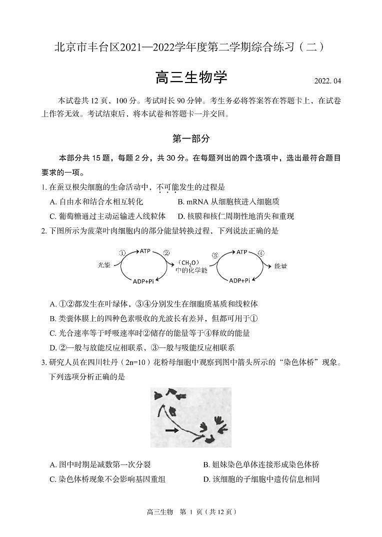 2022北京丰台区高三下学期二模考试生物试题PDF版无答案01