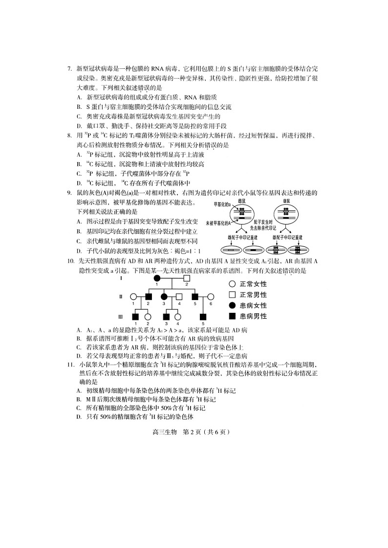 2022龙岩高三下学期第三次教学质量检测（三模）生物图片版无答案第2页