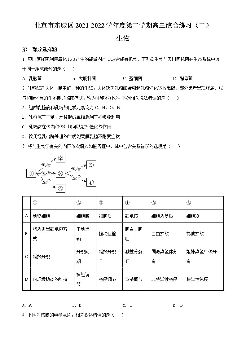 2022北京东城区高三二模生物试题Word含解析01