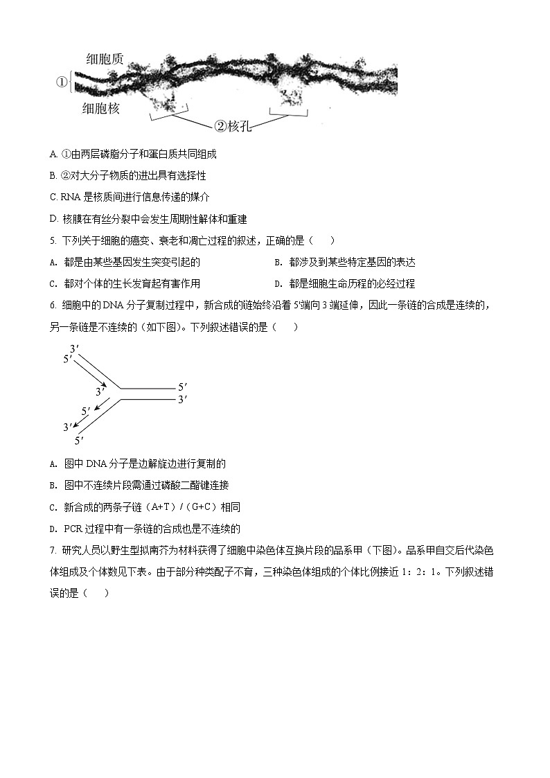 2022北京东城区高三二模生物试题Word含解析02