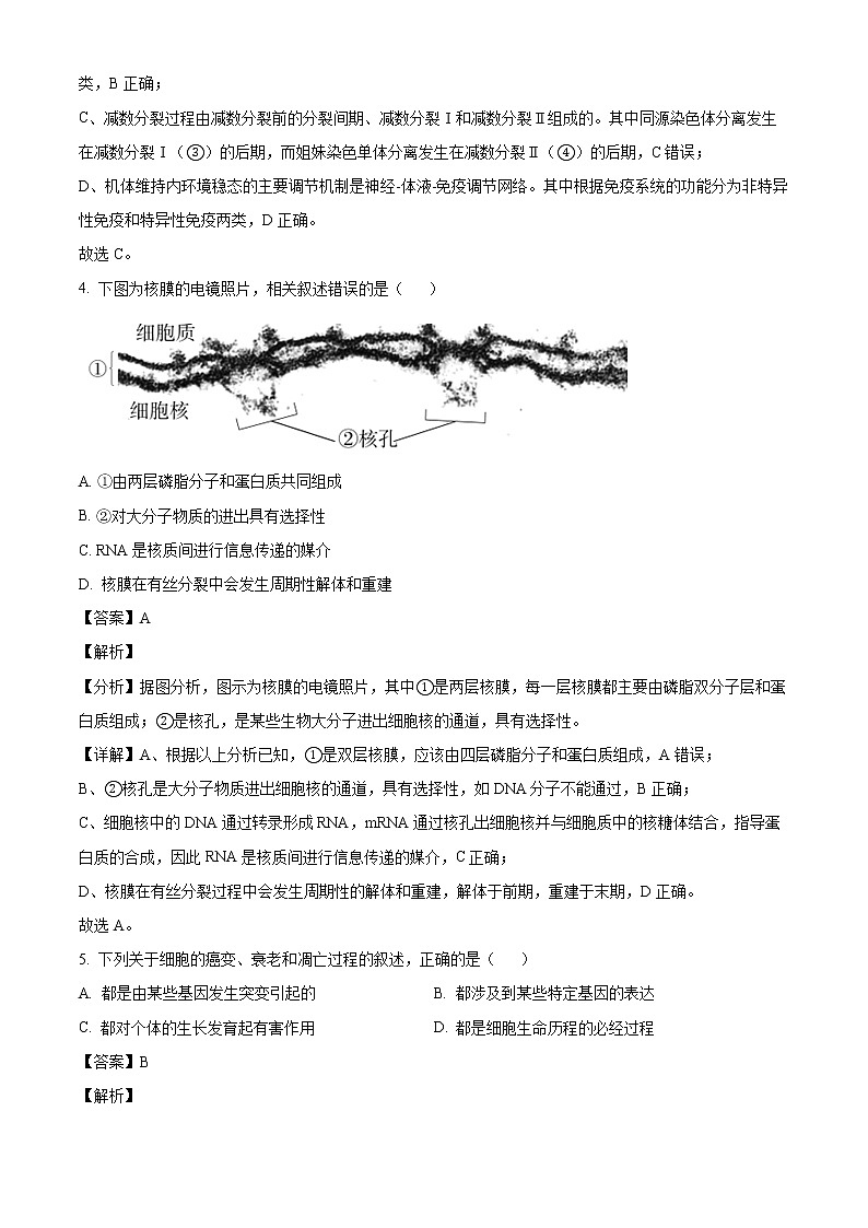 2022北京东城区高三二模生物试题Word含解析03
