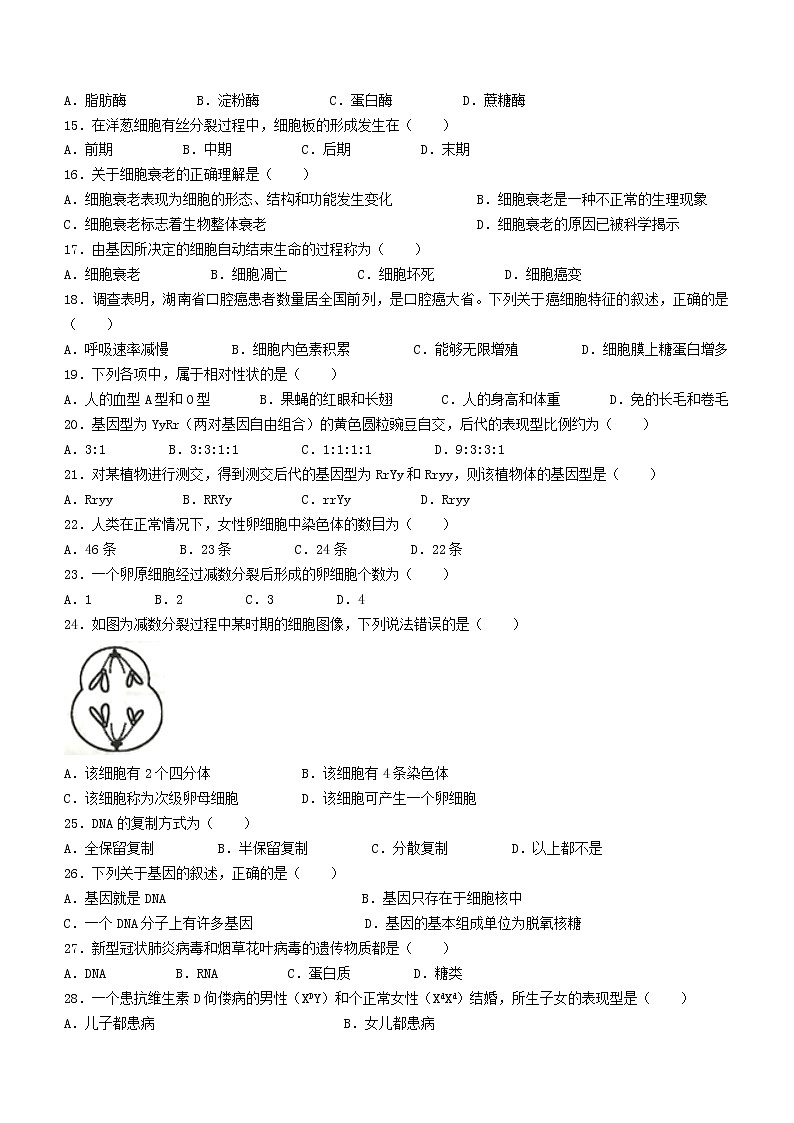 2022邵阳武冈高一下学期期中生物试题02