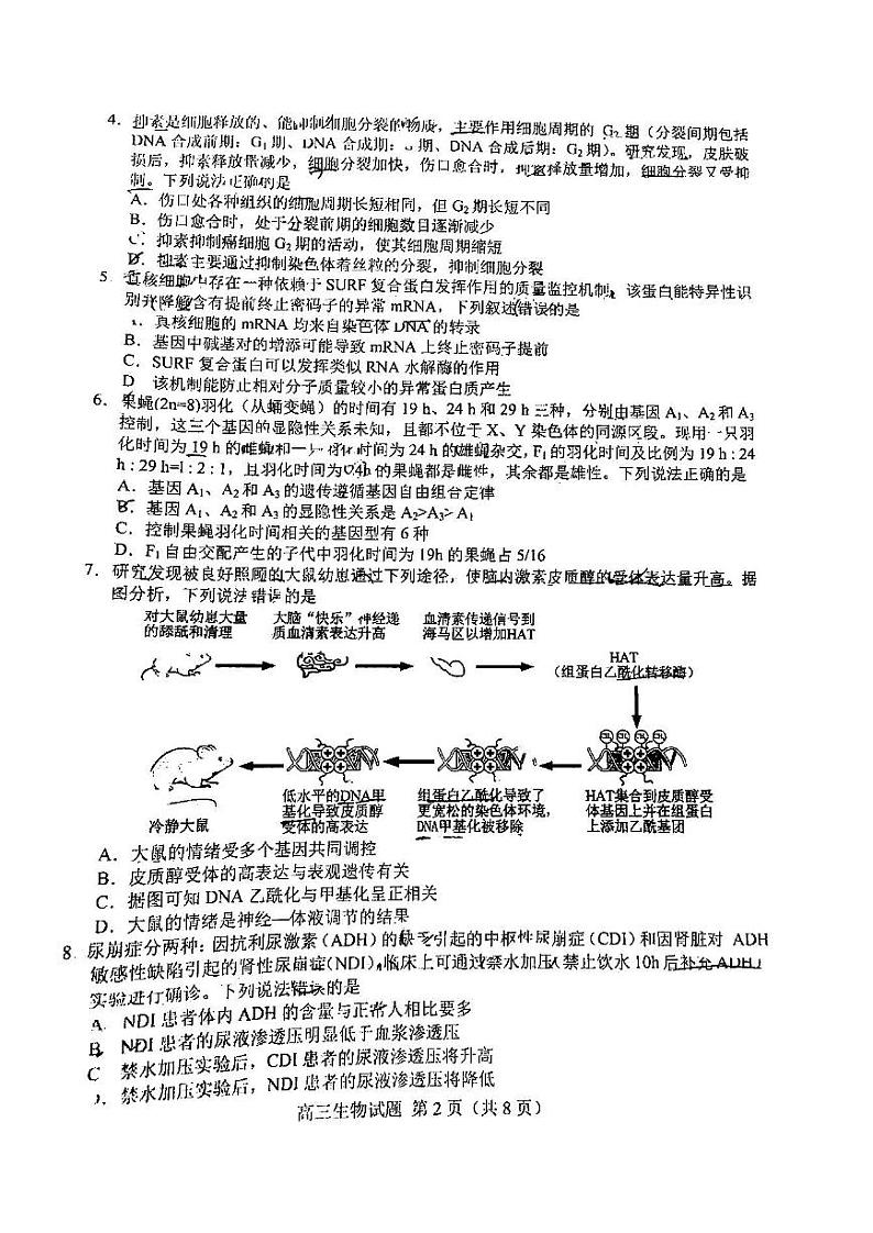 2022年菏泽市高三二模生物试题含答案第2页
