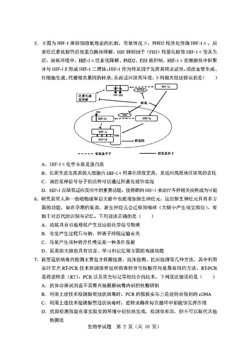 辽宁市部分重点中学协作体2022年高考模拟考试生物试题含答案（三模）02