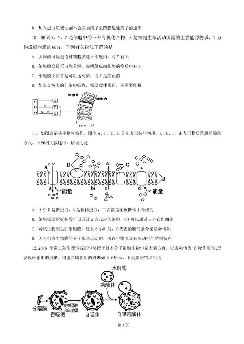 2020届陕西省渭南市临渭区尚德中学上学期高三第二次月考生物试卷（PDF版）03